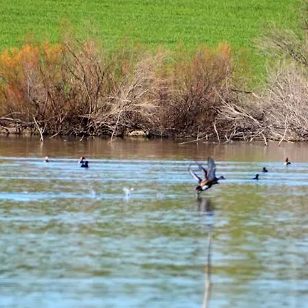 Macarena Дом отдыха *